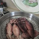 2박3일의 화려한 여행을 마치고~~ 이미지