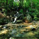 용문산자연휴양림 이미지