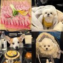 해심 | 인천 석남동 애견동반 가능하고 스끼다시가 다양한 횟집 해심 내돈내산 솔직후기