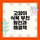 강한우리동물병원 이미지