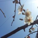 성실농원 이미지