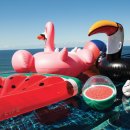 써니라이프 이미지