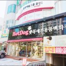 핫독애견백화점 이미지