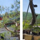 진신농장 이미지