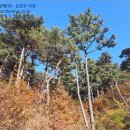 울진군근남면진복보건진료소 이미지