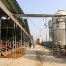 청송한우농장 이미지