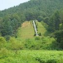 조욱 선생묘 이미지