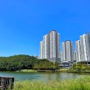 남경막국수가족2