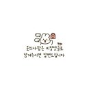 이센셜비전