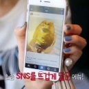 몽키플러스 이미지