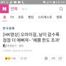 오마이걸이 셀수 없을정도로 이쁘다는건 모두다 인정하는 부분이죠?? 이미지