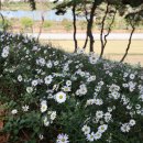 충의공원(충혼탑) 이미지