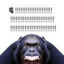 하나하나둘둘