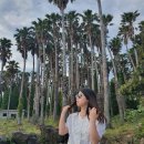 알루하우스A 이미지