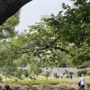 산포수퍼 | 일본 직장인 일상/생활) 밀린일기: 폭싹 속았수다, 스타벅스 스누피, 세븐일레븐 양말, 키마카레 맛집...