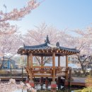 세븐일레븐 제주전농로점 이미지