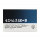 로비스 쇼핑하우