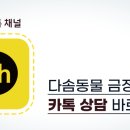 다솜고양이메디컬센터 금정점 이미지