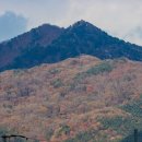 내곡동636 이미지