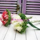 장미유치원 이미지