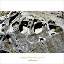 문암2리해변 이미지