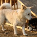 울루라떼 이미지