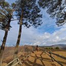 둘레목장 이미지