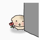 미움 뒤의 사랑을 찾아서