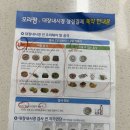 영채내과의원 | 진주 영채 내과 위내시경, 대장 내시경 후기(내시경 후 촌뽕 해물짬뽕밥 1.5단계 먹음 ㅋㅋ)