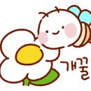 자작도 하우스 이미지