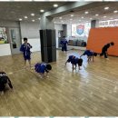 용인대 화랑 합기도 이미지
