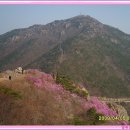 영취산(전남/여수) 진달래꽃 축제 산행 이미지