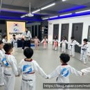 용인대우리동네태권도장 이미지