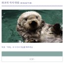 우미노나미 | 후쿠오카 마린월드 우미노나카미치 완벽 코스