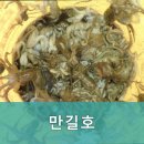 만길호좌대 네이버블로그