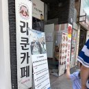 쿤이 | 청주 멍이와쿤이 미어캣 라쿤카페 내돈내산 후기 알러지 엔딩 ㅠㅠ