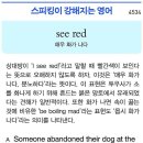 see red (매우 화가 나다) 이미지