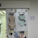 [기초] 댄스스포츠 | [부천 상동] 오하운폴댄스학원 부천상동점 체험 후기 (오늘 하루 운동 완료!)