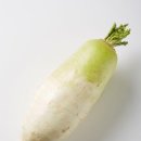 무 이미지