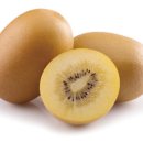 위 건강에 도움을 줄 수 있습니다" 골드키위유산균발효물 이미지