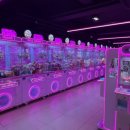 챔프오락실청소년게임제공업 | 📢“1판에 1000원”… 인형뽑기 중독이 불러온 3가지 위험