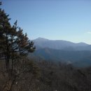 진남중학교 이미지