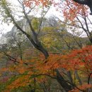 배낭바위민박 이미지