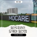 모할고양 | 모케어 일산점 일산두피관리 문제성두피 꼼꼼한 케어 받은 솔직 후기