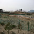 옥천 농장 이미지