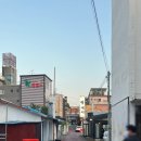 왕돼지 - 서산시 | 왕돼지