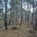 장연리(장수골)노인회관 | 청도 육화산 (장연리 장수골 노인회관~전망대~정상)(왕복산행)