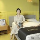 코알라홈 이미지