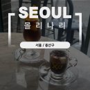 몰리나리카페 | [한남동 카페] 몰리나리 에스프레소바 |이탈리아 현지 분위기 카페 |내돈내산 찐후기