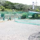 외가집민박 이미지